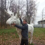  -,   Dybalev, 40 ,   ,   
