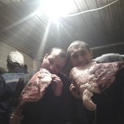 ���������� ������, ���� ������� ����, 42 ����, ������������ ��� ������, ����� � ���������, c�������� ���������, ���������