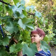 ���������� �������, ���� ������� �������, 60 ���, ������������ ��� ����� � ���������, c�������� ���������