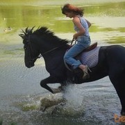 ���������� ������, ���� ������� ����, 38 ���, ������������ 