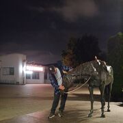  ,   , 41 ,   ,   , c , 