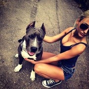  ,   , 27 ,  