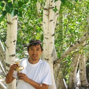  ,   Umauma, 52 ,   ,   , c 