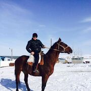 ���������� ������, ���� ������� �����, 37 ���, ������������ ��� ������, ����� � ���������