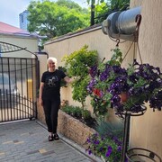 ���������� ���������, ���� ������� �����, 53 ����, ������������ ��� ������, ����� � ���������, ���������