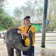 ���������� ���������, ���� ������� �������, 50 ���, ������������ 