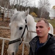 ���������� �����������, ���� ������� �������, 36 ���, ������������ ��� ������, ����� � ���������, c�������� ���������