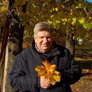 ���������� �����, ���� ������� ���������, 65 ���, ������������ ��� ������, ����� � ���������, ���������