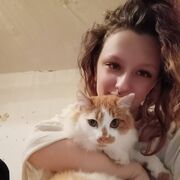 ���������� �����, ����