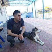 ���������� ������, ���� ������� �����, 41 ���, ������������ ��� ������, ����� � ���������