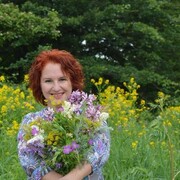 �����, ����������