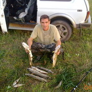 ���������� ���������, ���� ������� Niv, 50 ���, ������������ ��� ����� � ���������, c�������� ���������