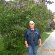  ,   , 66 ,   