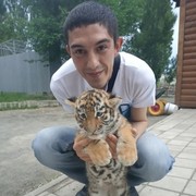 ���������� ���������, ���� ������� ������, 38 ���, ������������ ��� ������, ����� � ���������, c�������� ���������