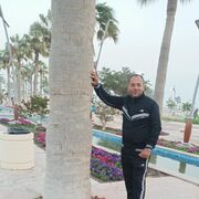 ���������� Al Ghardaqah, ���� ������� Tamer naser, 45 ���, ������������ ��� ������, ����� � ���������, c�������� ���������, ���������