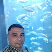  -,   , 40 ,   ,   , c 