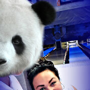 ���������� ���������, ���� ������� ����, 49 ���, ������������ ��� ������, ����� � ���������