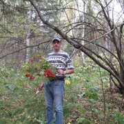  ,   , 53 ,     , c 