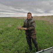 ���������� �������, ���� ������� ����, 38 ���, ������������ ��� ������, ����� � ���������