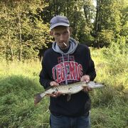 ���������� ����, ���� ������� �����, 37 ���, ������������ ��� c�������� ���������