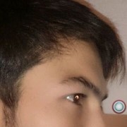  ,   ALIGATOR, 34 ,   ,   , c 