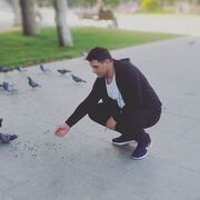 ���������� ���������, ���� ������� �����, 44 ����, ������������ ��� ������, ����� � ���������, c�������� ���������