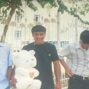 ���������� �������, ���� ������� ��������, 37 ���, ������������ ��� ������, ����� � ���������