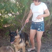 ���������� �������, ���� ������� �����, 47 ���, ������������ ��� ������, ����� � ���������, c�������� ���������