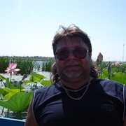  ,   , 64 ,   ,   , c 
