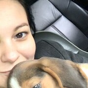 ���������� ������, ���� ������� Gella, 47 ���, ������������ ��� ������, ����� � ���������