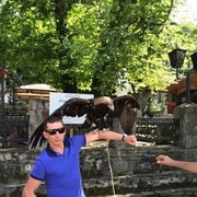  ,   , 46 ,   