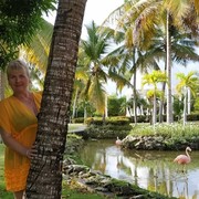 ���������� ������, ���� ������� ��, 51 ���, ������������ ��� ������, ����� � ���������, c�������� ���������