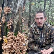 ���������� ���������, ���� ������� �������, 36 ���, ������������ ��� c�������� ���������, ���������