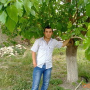  ,   Maga, 36 ,   ,   , c 