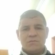  ,  , 44