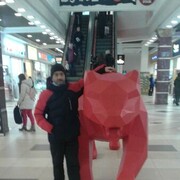  ,   , 44 ,   ,   , c 
