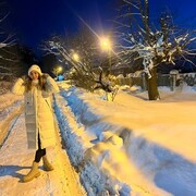 ���������� ����������, ���������