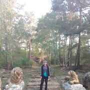 ���������� ���������, ���� ������� ������, 50 ���, ������������ ��� ������, ����� � ���������