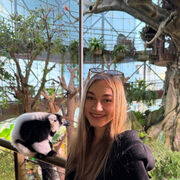 ���������� ������, �������