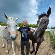 ���������� �����������, ���� ������� ����, 37 ���, ������������ ��� c�������� ���������