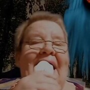 ���������� �����������, ������