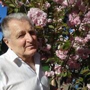  ,   , 79 ,   ,   