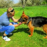  ,   VladislaV, 31 ,  