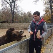 ���������� ���������, ���� ������� ������, 34 ����, ������������ ��� ������, ����� � ���������, c�������� ���������