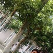 ���������� ����, ���� ������� Panda, 36 ���, ������������ ��� ������