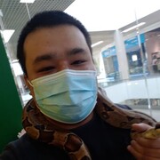 ���������� ������, ���� ������� ������, 33 ����, ������������ ��� ����� � ���������