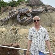  -,   , 51 ,  
