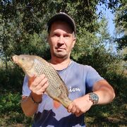 ,   , 38 ,   c 