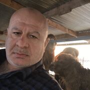  ,   , 57 ,   ,   , c , 