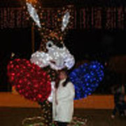  ,   Nadin, 48 ,     , c 